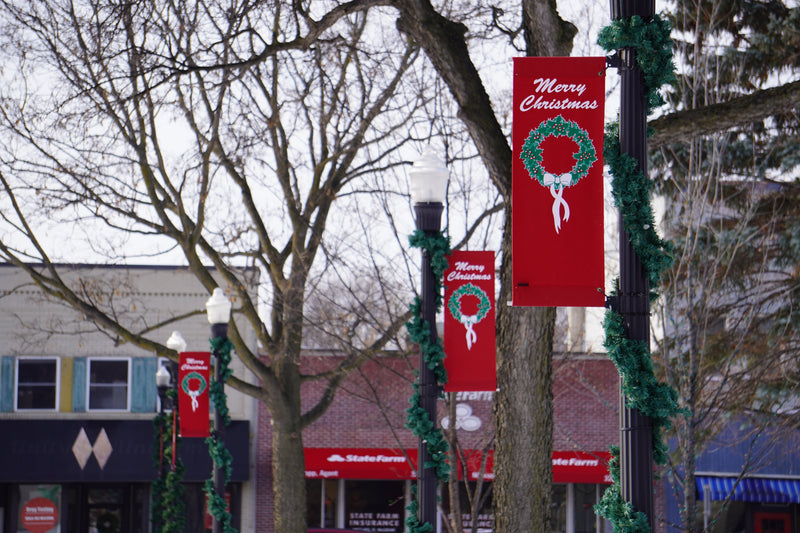 Load image into Gallery viewer, 15-ft Unlit Timberline Christmas Garland