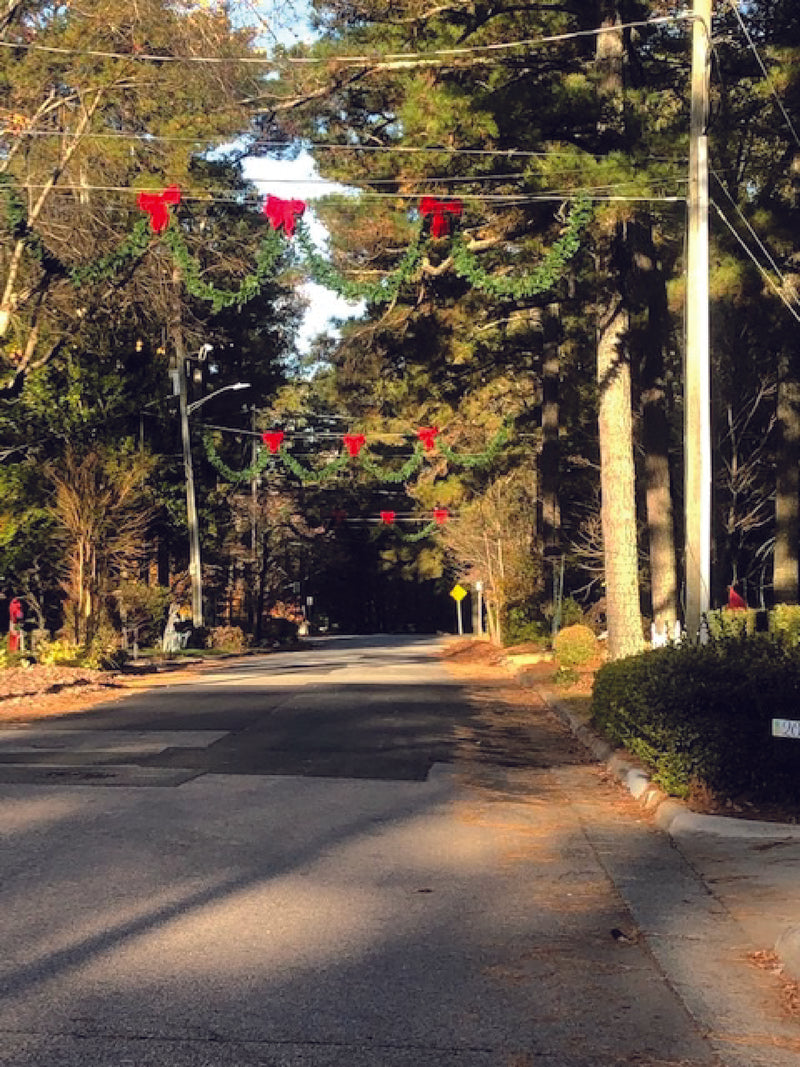 Load image into Gallery viewer, 50-ft Garland & Bow Over the Street Christmas Decoration