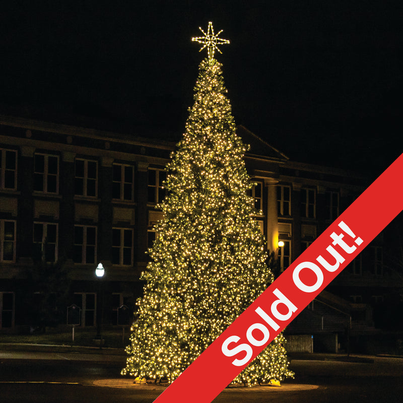 Load image into Gallery viewer, 50 Ft. Christmas Frame Tree