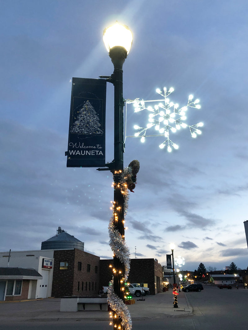 Load image into Gallery viewer, 6 ft. Star Snowflake Silhouette Christmas Pole Mounted Decoration
