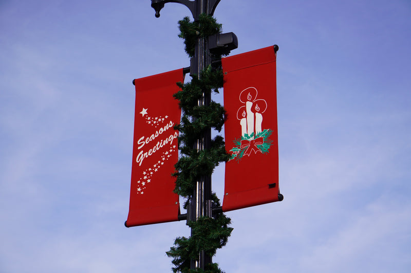 Load image into Gallery viewer, 15-ft Unlit Timberline Christmas Garland