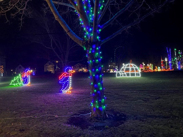 Load image into Gallery viewer, 5' Penguin Silhouette Christmas Ground Mounted Decoration