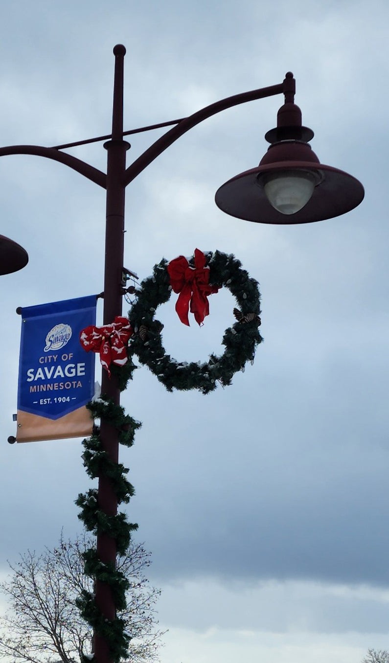 Load image into Gallery viewer, Red Velour Christmas Bows