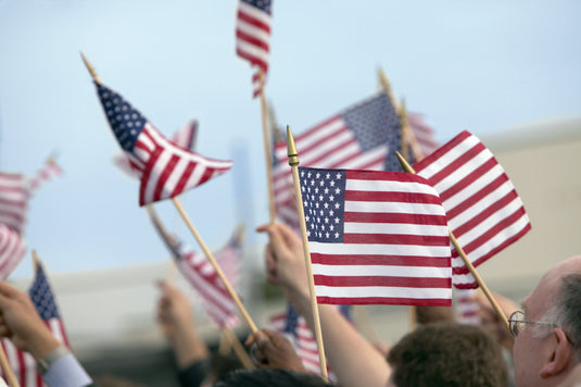 US Stick Flags