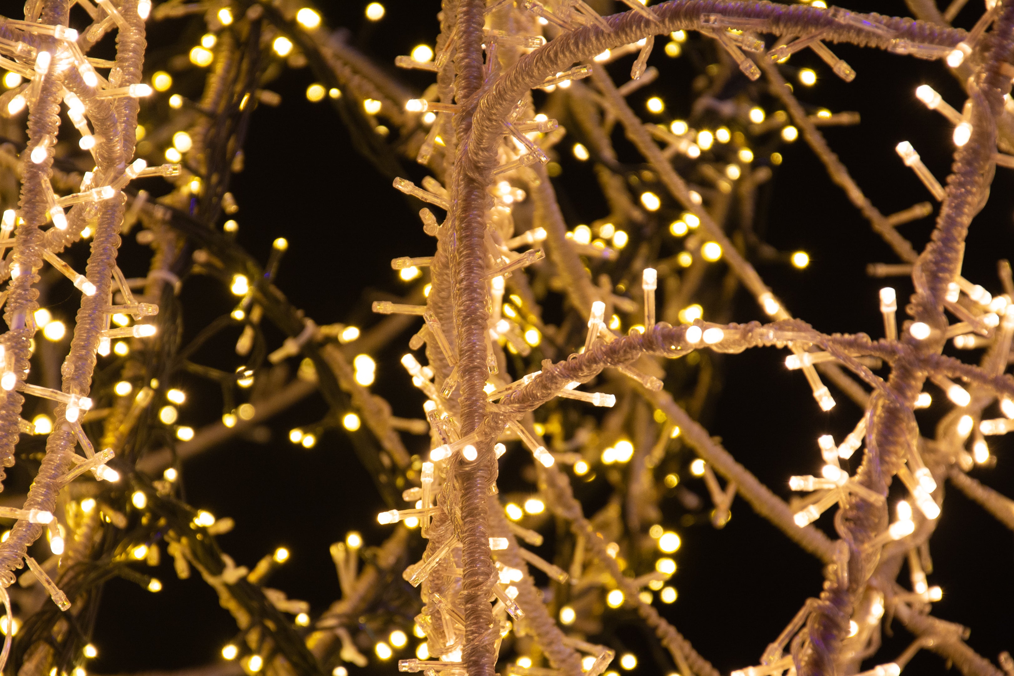 Wide Angle LED Christmas Mini Light Sets | Display Sales