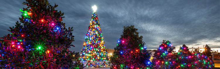 Plan Ahead. Save Smart. Q1 Decoration Sale Now Live.