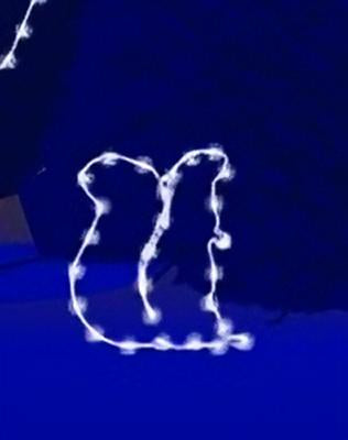 3 Ft Squirrel Christmas Ground Mount Light Display