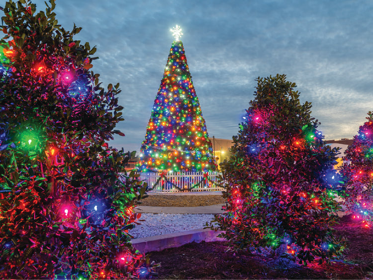 Make This Holiday Season Shine