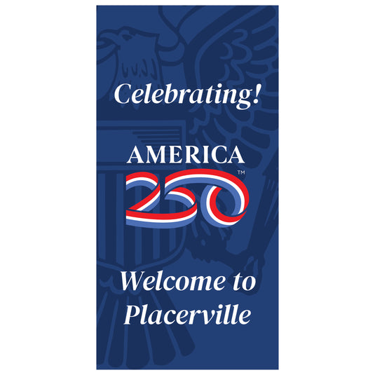 D781 250 Symbol - Pole Banner