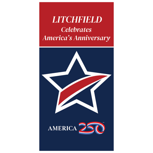 D784 250 Single Star - Pole Banner