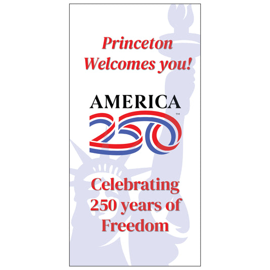 D786 250 Lady Liberty - Pole Banner