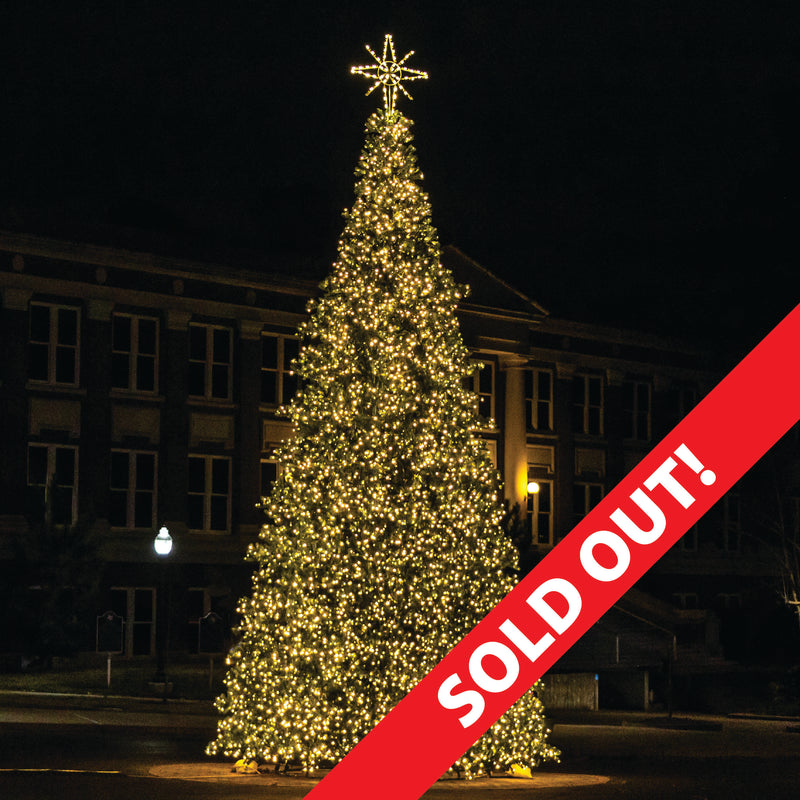 Load image into Gallery viewer, 40 Ft. Christmas Frame Tree
