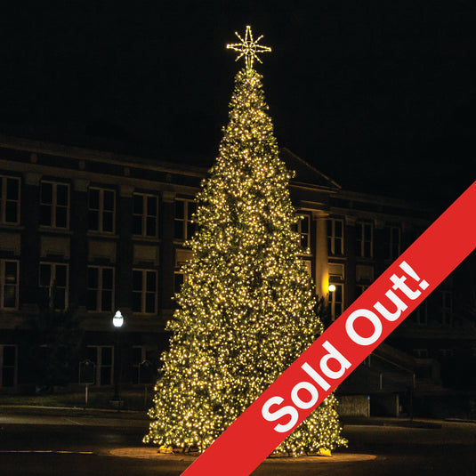 50 Ft. Christmas Frame Tree