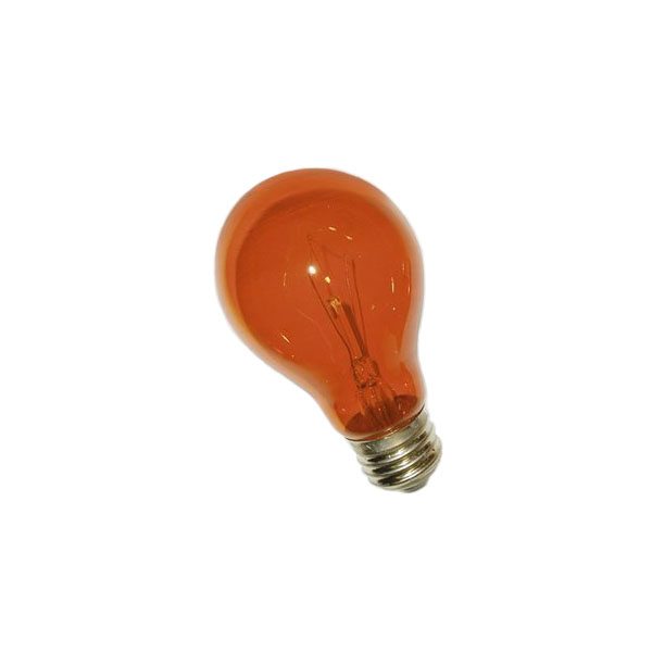 Orange A19 Transparent Incandescent Appliance Bulb