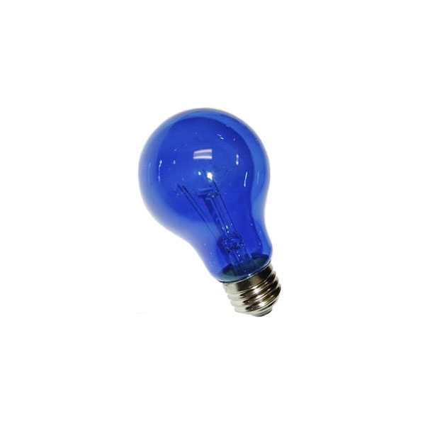 Blue A19 Transparent Incandescent Appliance Bulb