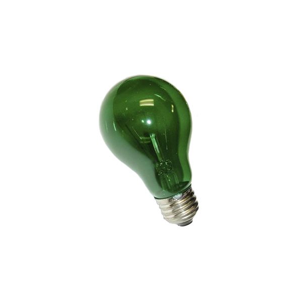 Green A19 Transparent Incandescent Appliance Bulb