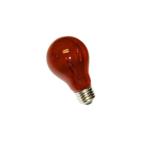 Red A19 Transparent Incandescent Appliance Bulb